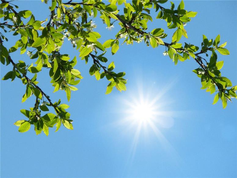 هوای بهاری در راه است!