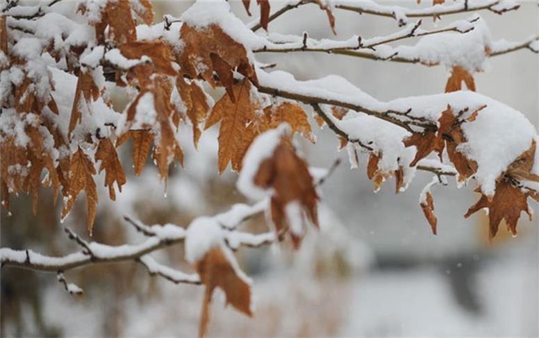 اخبار هواشناسی: برف و یخبندان در بسیاری از استان‌ها/ یک سامانه بارشی تازه می‌آید