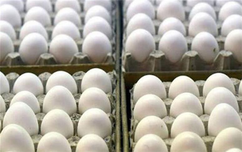 جدیدترین قیمت مرغ و تخم مرغ/کاهش دوهزارتومانی در نرخنامه جدید سازمان میادین