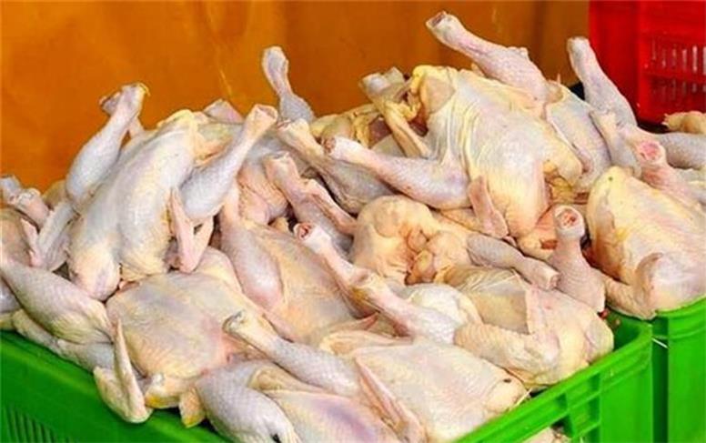 عرضه گوشت مرغ گرم در استان تهران از طریق سامانه