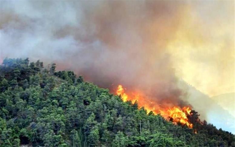 آتش سوزی عرصه‌های طبیعی در ۵ شهرستان گیلان/ حدود ۸۰هکتار در آتش سوخت