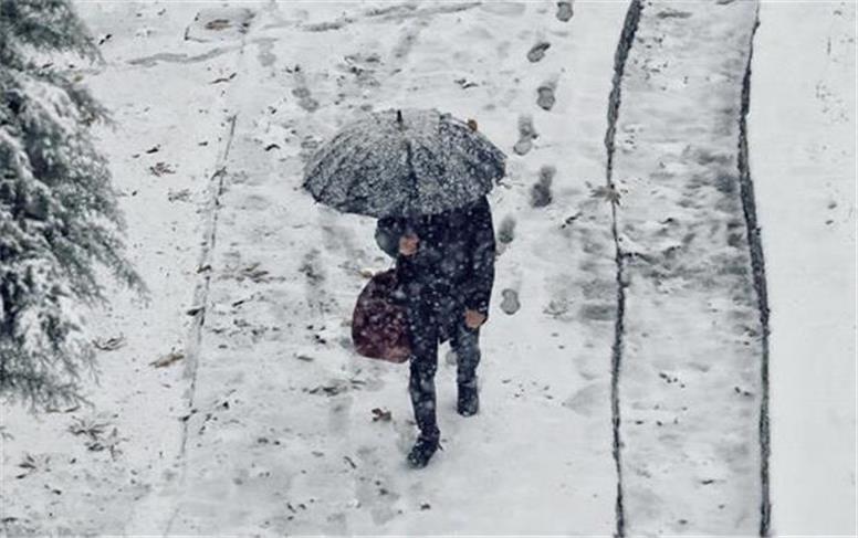 بارش برف در تهران آغاز شد