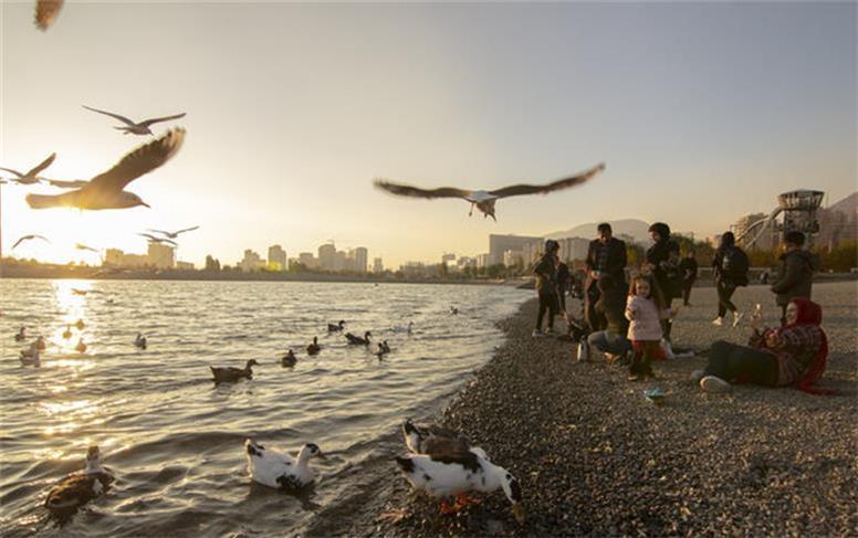 فضای سبز دریاچه خلیج فارس با پساب آبیاری می‌شود