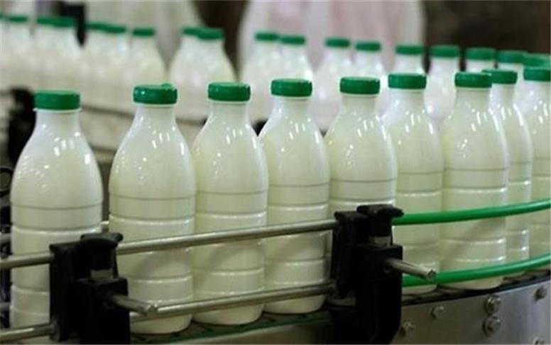 قیمت شیر، ماست و پنیر اعلام شد/گران فروشی ۷ هزار تومانی در یک لیتر شیر