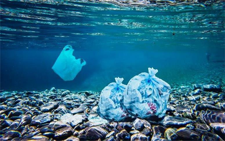 پلاستیک بلای جان محیط زیست است