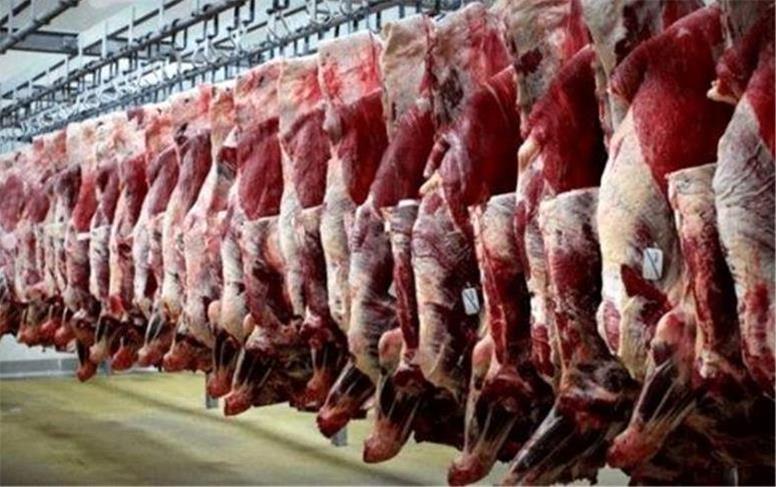 گوشت قرمز ۳۰تا۴۰ هزارتومان ارزان شد؟