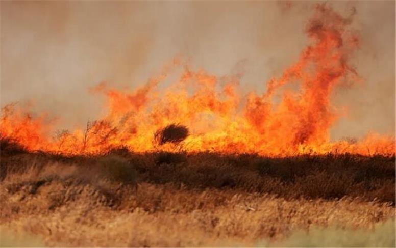 مهار آتش سوزی در پارک ملی بوجاق