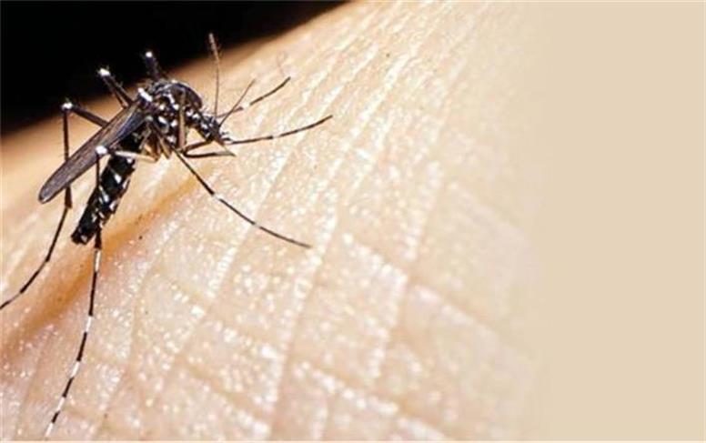 شناسایی ‌دو مبتلا به مالاریا در اهواز