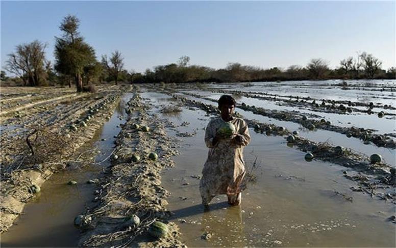 مردم نباید با یک بارندگی تن‌شان بلرزد/ زیرساخت‌های کشاورزیِ جنوب سیستان و بلوچستان از بین رفته