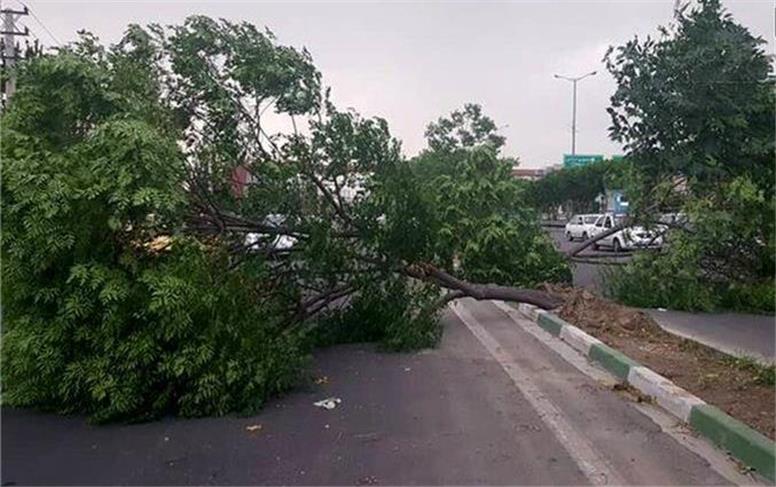 هشدار هواشناسی: طوفان امروز در تهران و برخی استان ها