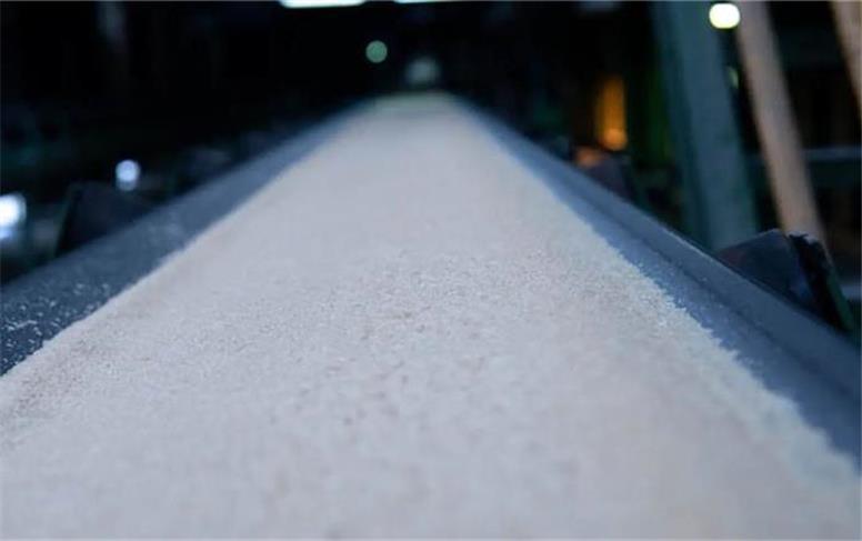 آغاز عرضه گسترده شکر