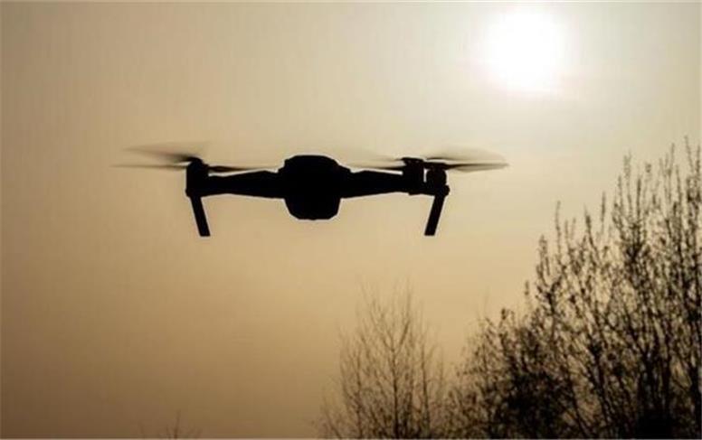 رصد حریم‌ پایتخت با ریزپرنده‌ها