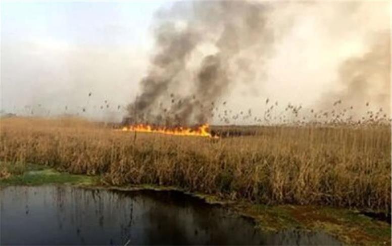 هشدار برای  تکرار آتش‌سوزی‌های یک تالاب در تابستان پیش رو