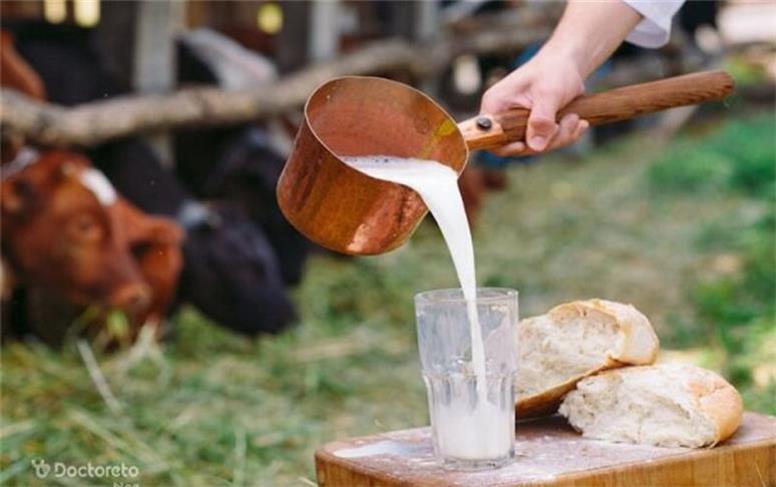 در فصل زایش دام‌ها خطر ابتلا به تلب مالت بیشتر می شود