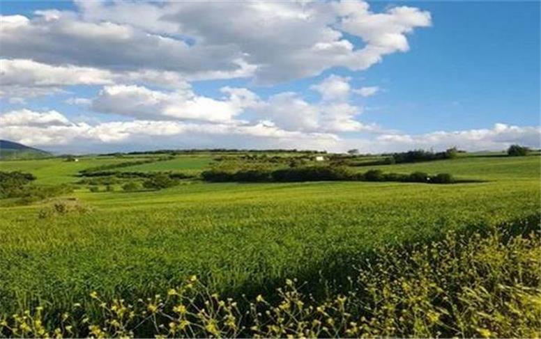 افزایش نسبی دما تا پایان هفته