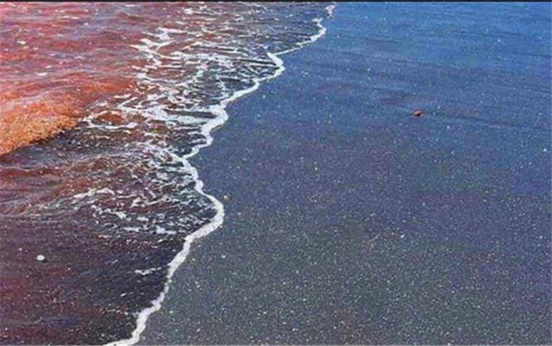 ساحل نقره‌ایِ جزیره هرمز سر جایش برگشت؟