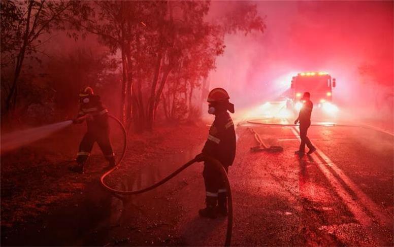 آتش سوزی پارک ملی بیبرزا در لهستان