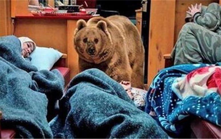 آیا در «پایتخت ۷» حیوان‌آزاری اتفاق افتاد؟