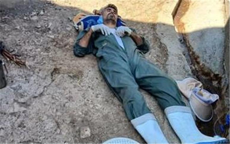 حادثه برای دامپزشک سوادکوهی هنگام واکسیناسیون دام‌ها