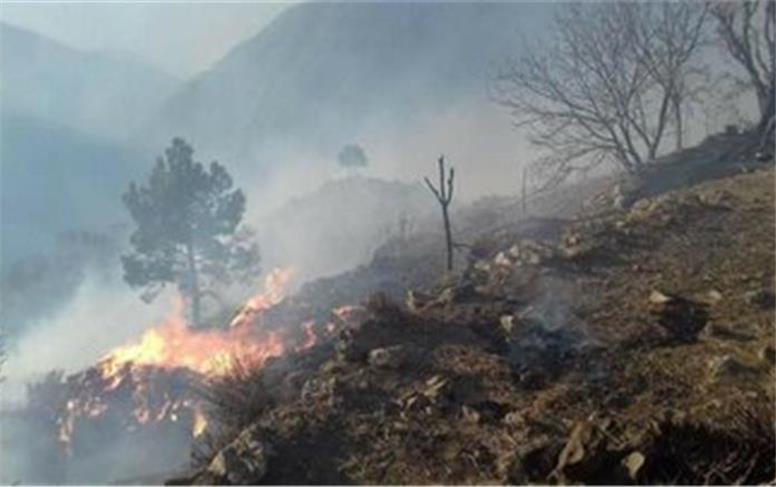 آتش سوزی در کوه آبیدر سنندج/ «چیاکو» در روز تولدش جان باخت/ «خبات» ما پرپر شد