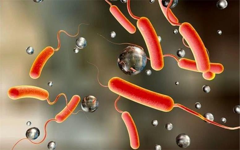 شیوع وبا در ۳۱ کشور!