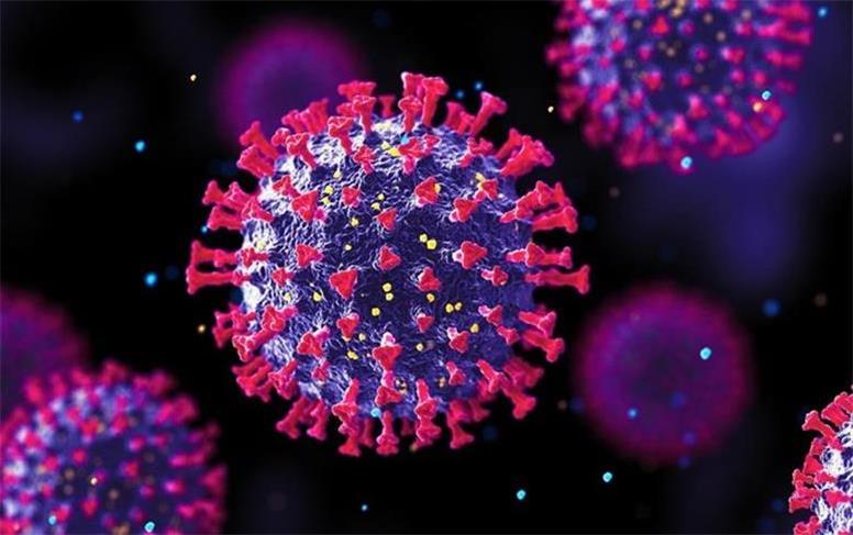 روش‌های انتقال ویروس HPV/ تزریق واکسن کافی نیست