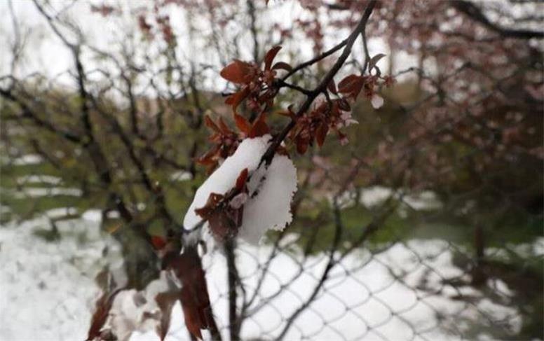 پاییز سخت و زمستان پُربار در انتظار مردم ایران