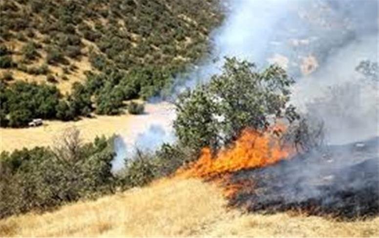 پوشش گیاهی منطقه دماوند سوخت؟!