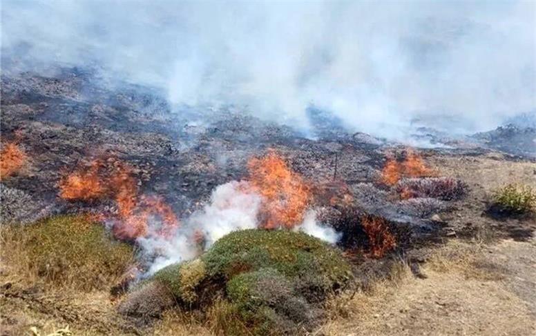 آتش‌سوزی در پناهگاه حیات وحش کیامکی مهار شد