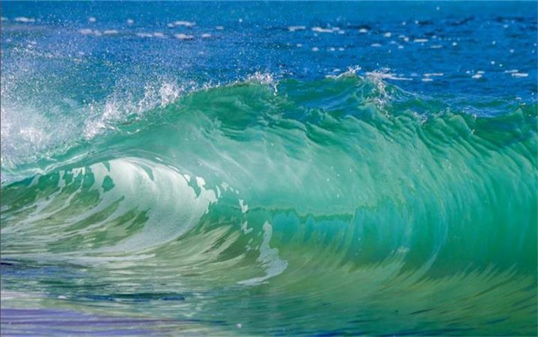 گرمایش جهانی، سبزی اقیانوس‌ها را می‌بلعد