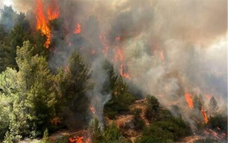 آتش‌سوزی گسترده در جنگل‌های استان فارس/ جزئیات