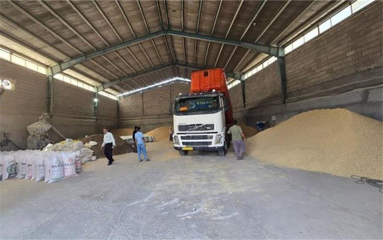 ورود سازمان بازرسی به واردات و توزیع نهاده‌های دامی/چرا دامداران ناراضی شدند؟