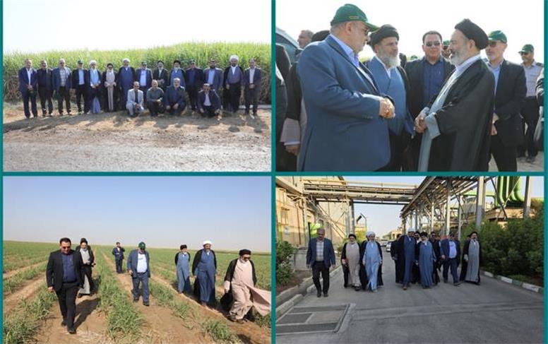 نیشکر نقش مهمی در اقتصاد و صیانت از محیط‌زیست دارد