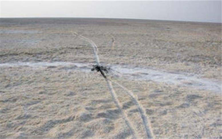 نیمی از تالاب شادگان خشک شده است