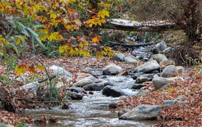 آیا مقایسه اقلیمی ایران با همسایگان درست است؟