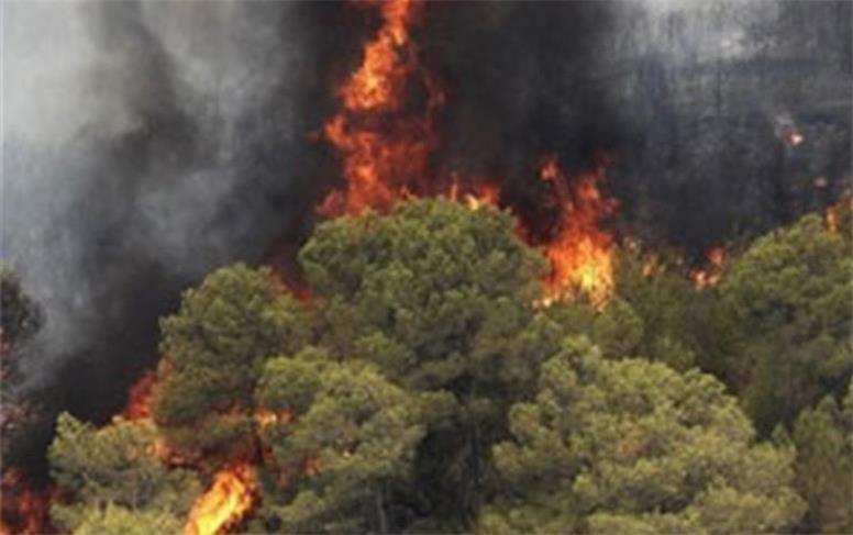 دلایل آتش‌سوزی جنگل‌های زاگرس و مازندران چه بود؟