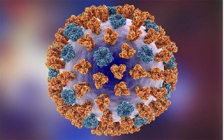 توصیه‌هایی برای مهار آنفلوآنزا