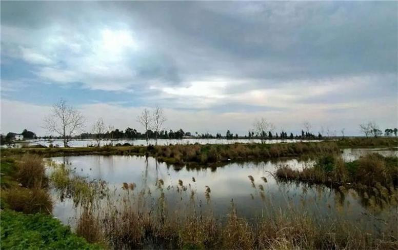 ۹۰ درصد منابع آبی ایران، به بخش کشاورزی اختصاص می‌یابد