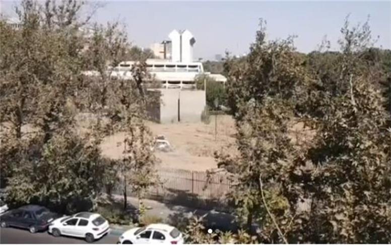 واکنش مدیر موزه فرش به خبر قطع درختان در این موزه: فقط سه چنار خشک‌شده بود!