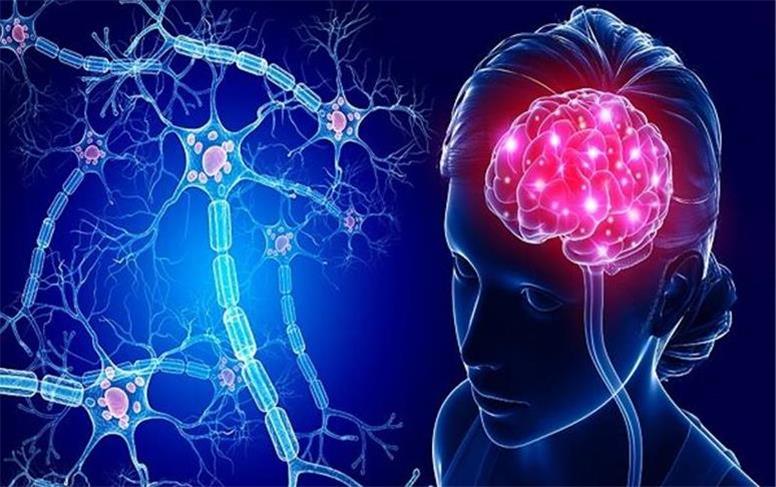 ۹ عادت قدرتمند برای سلامت مغز