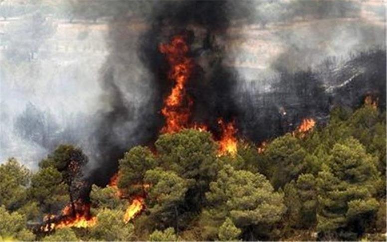 آخرین وضعیت اطفای حریق جنگل‌های الیت