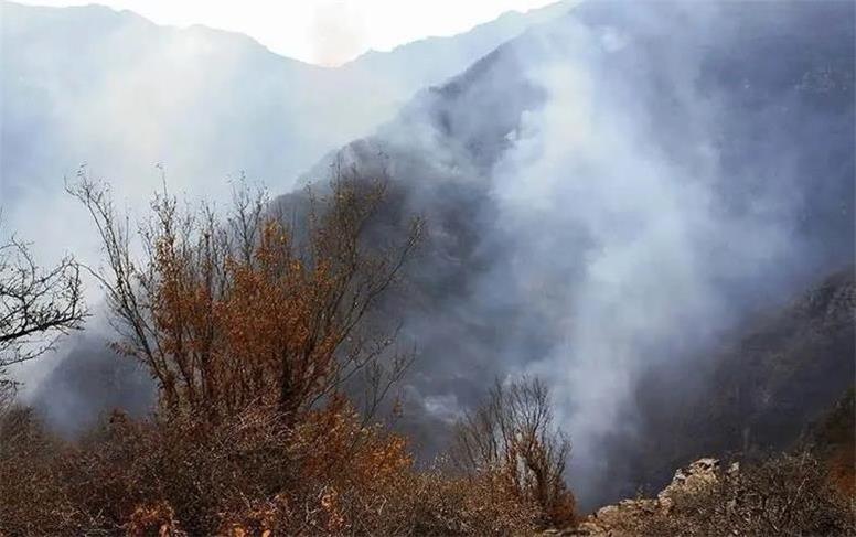 توقف گسترش آتش در جنگل‌های الیت مازندران