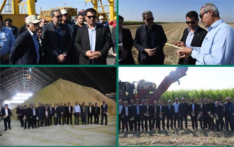 مدیران بانک مسکن خوزستان از روند برداشت سبز نیشکر بازدید کردند