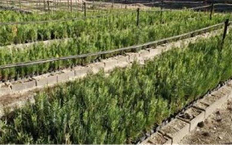انفجارها و آلودگی‌ها، زنگ خطری برای تولیدمثل حیات‌وحش اصفهان