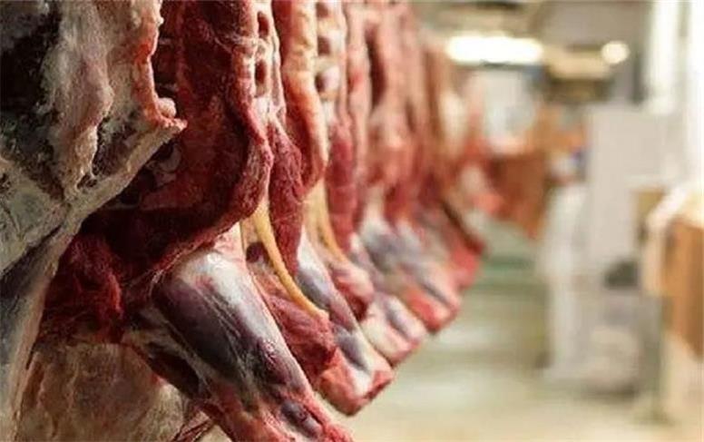 واردات زمینی گوشت قرمز بدون وقفه ادامه دارد