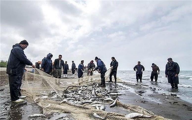 آغاز صید ماهیان استخوانی در دریای خزر با رعایت ضوابط