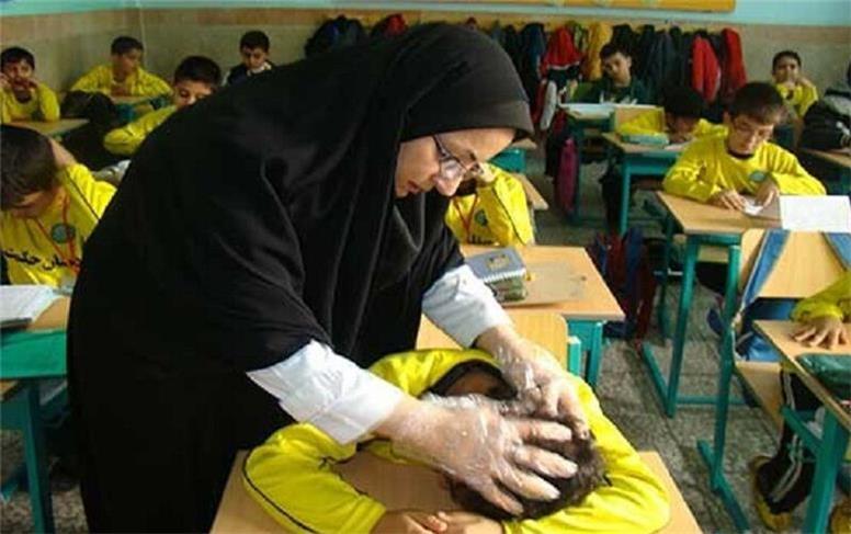 آمار تکان‌دهنده از شیوع شپش در کشور؛ ۷۸ درصد مبتلایان دانش‌آموز هستند