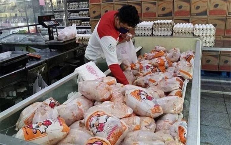 قیمت جدید گوشت مرغ امروز شنبه ۹ آبان ۱۴۰۵ / مرغ کامل کیلویی ۳۵۰ هزار تومان شد + جدول