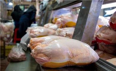 بیست و ششم فروردین: قیمت مرغ در بازار تره‌بار/علت گرانی در روزهای اخیر