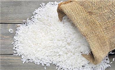 برنج در بازار ۲۰ تا ۳۰درصد ارزان می‌شود؟